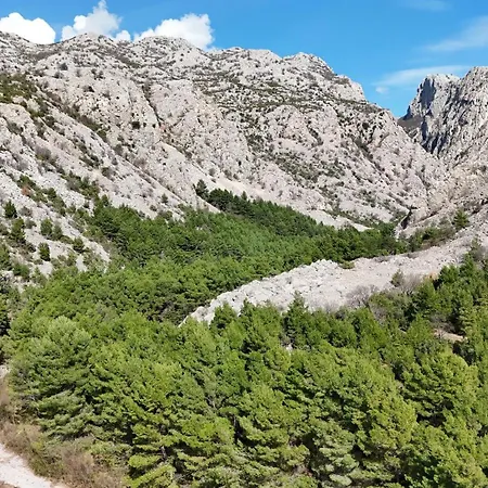 Patrisa Centar דירה