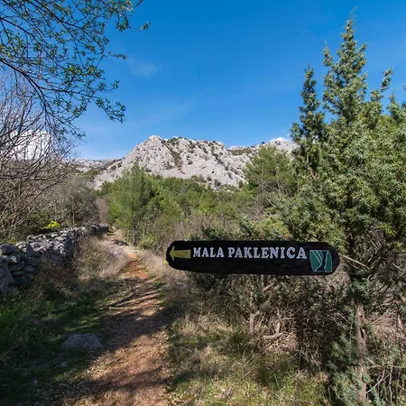 Patrisa Centar סלינה