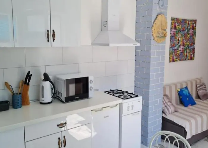 Patrisa Centar 公寓 *