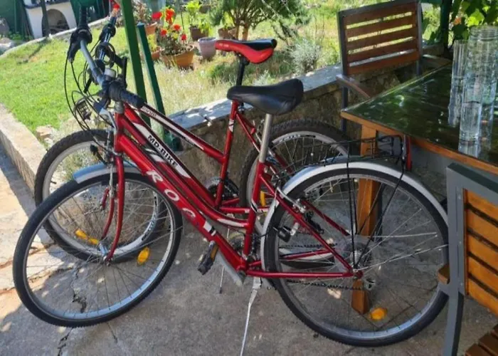 Patrisa Centar סלינה