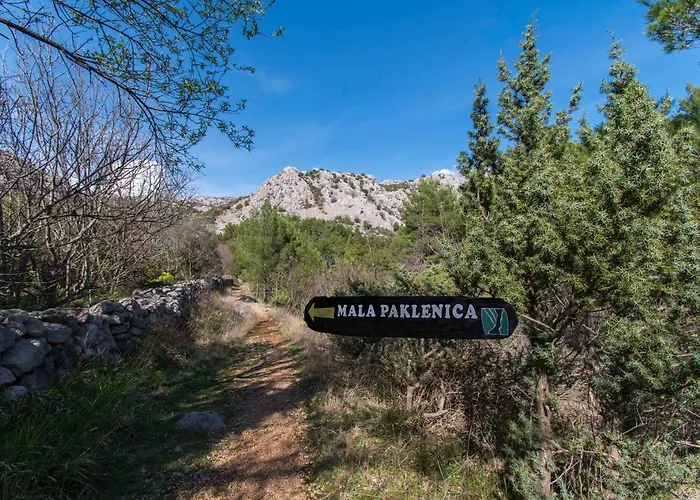 Patrisa Centar סלינה